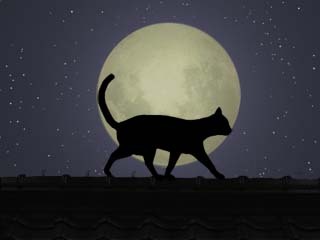 無料ダウンロード かっこいい 月 黒 猫 イラスト