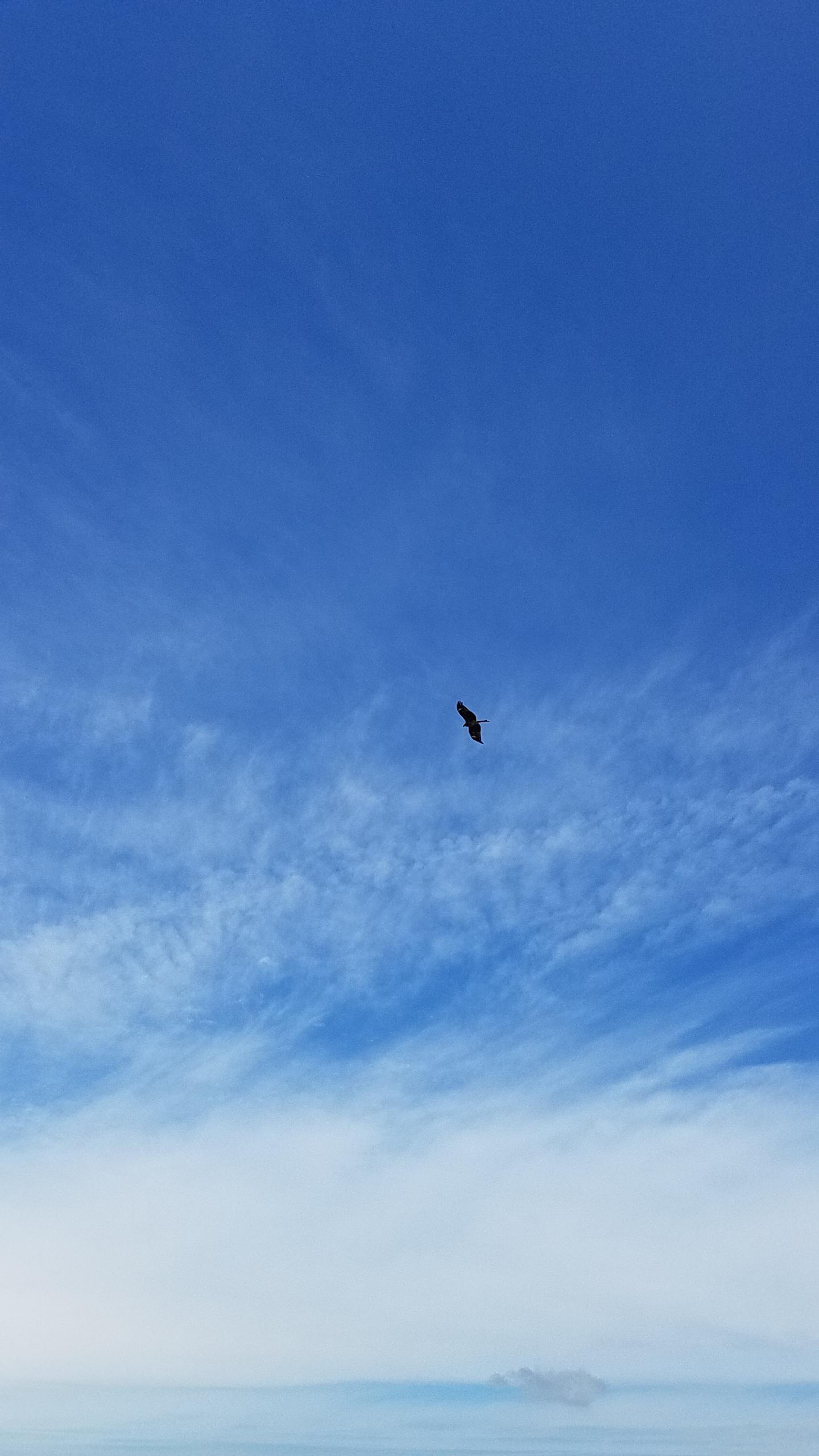 いつか君と真っ青な空の下でバニラアイスを 邂逅に潜む夢 完 夏馬 爽 魔法のiらんど