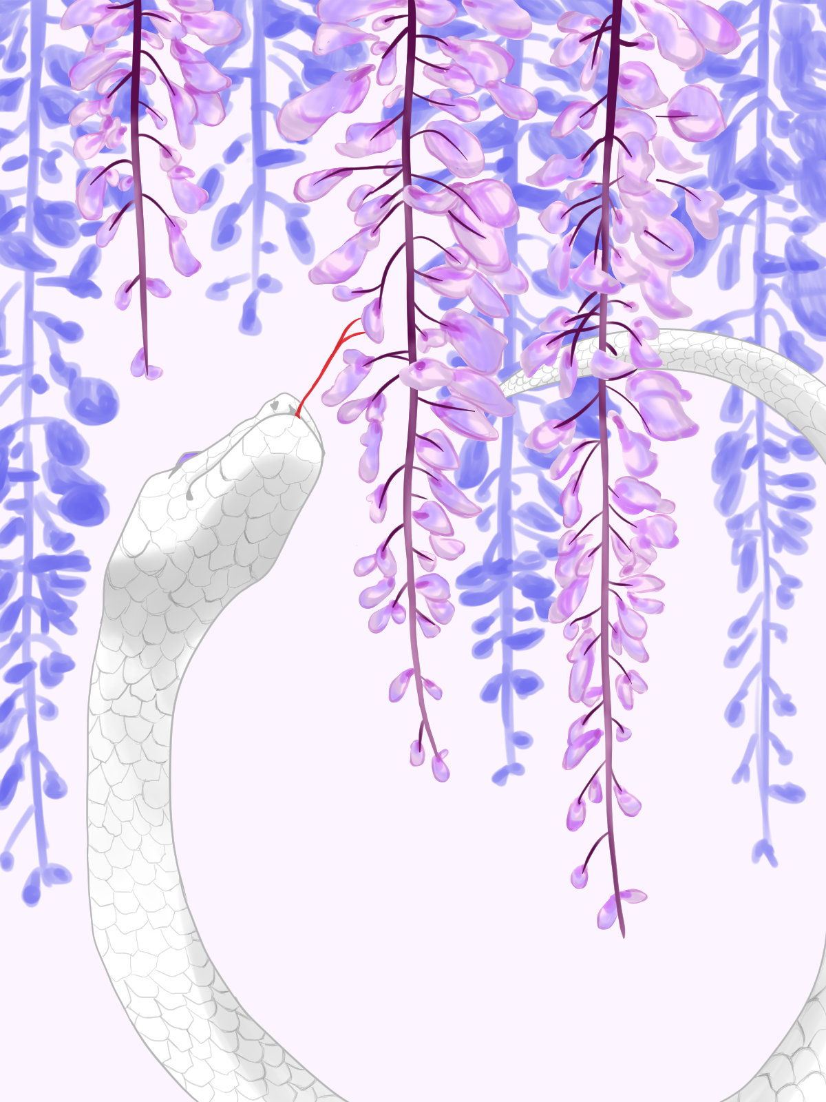 白紫竜と藤の花