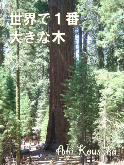 世界で一番大きな木 完 亜希 魔法のiらんど
